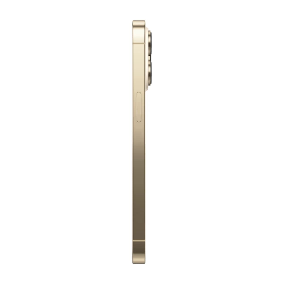 Non-Active iPhone 13 Pro 1TB (100% Battery) - Dual Physical SIM - Thumbnail Angle 3 | Elmougi Store UAE