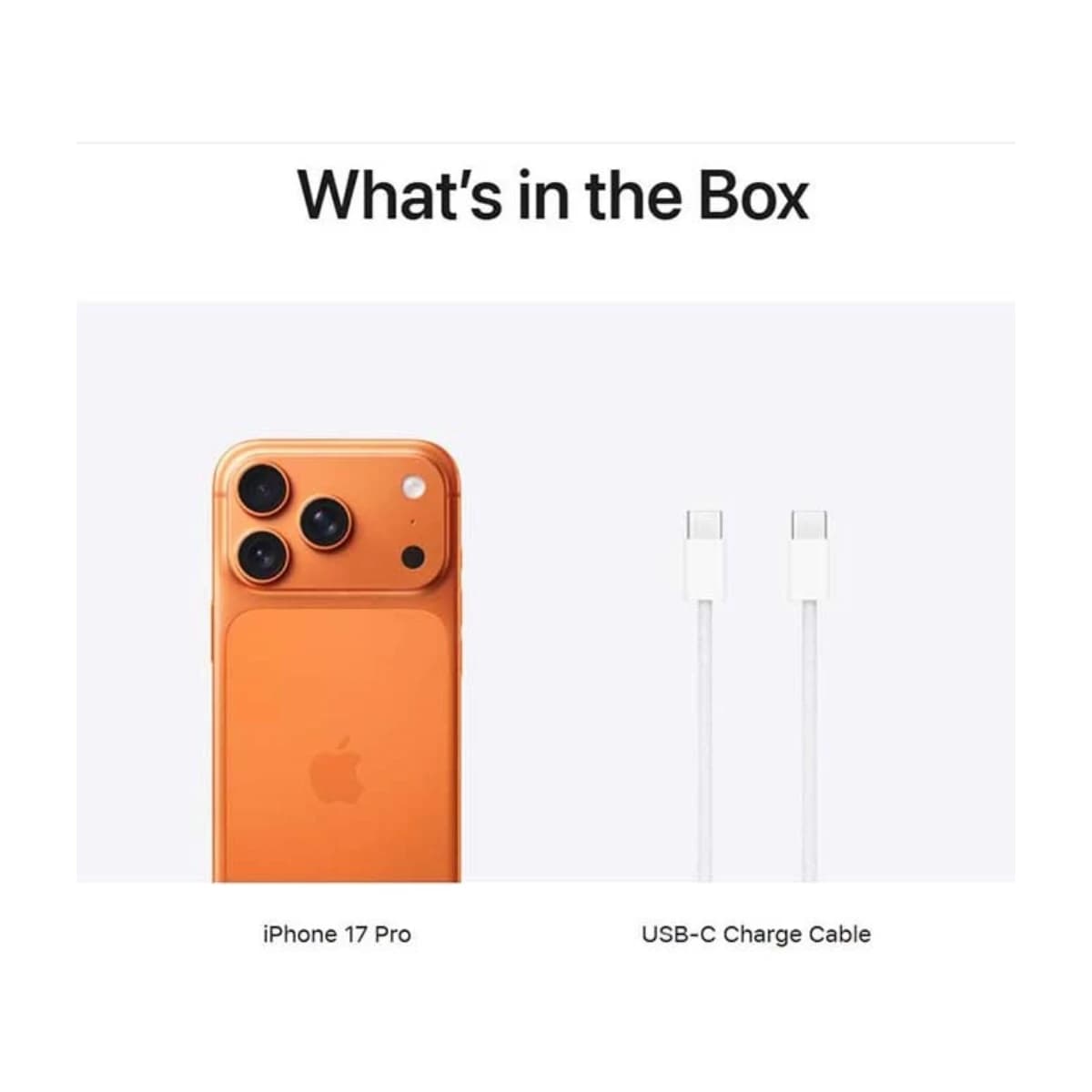 iPhone 17 Pro (eSIM only) Silver 5G With FaceTime - International Version - Thumbnail Angle 4 | Elmougi Store UAE