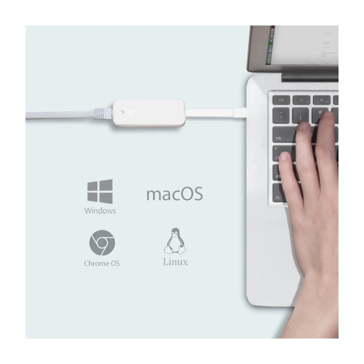 TP-Link UE300C USB Type-C to RJ45 Gigabit Ethernet Network Adapter - High Resolution View 3 | Elmougi Store UAE